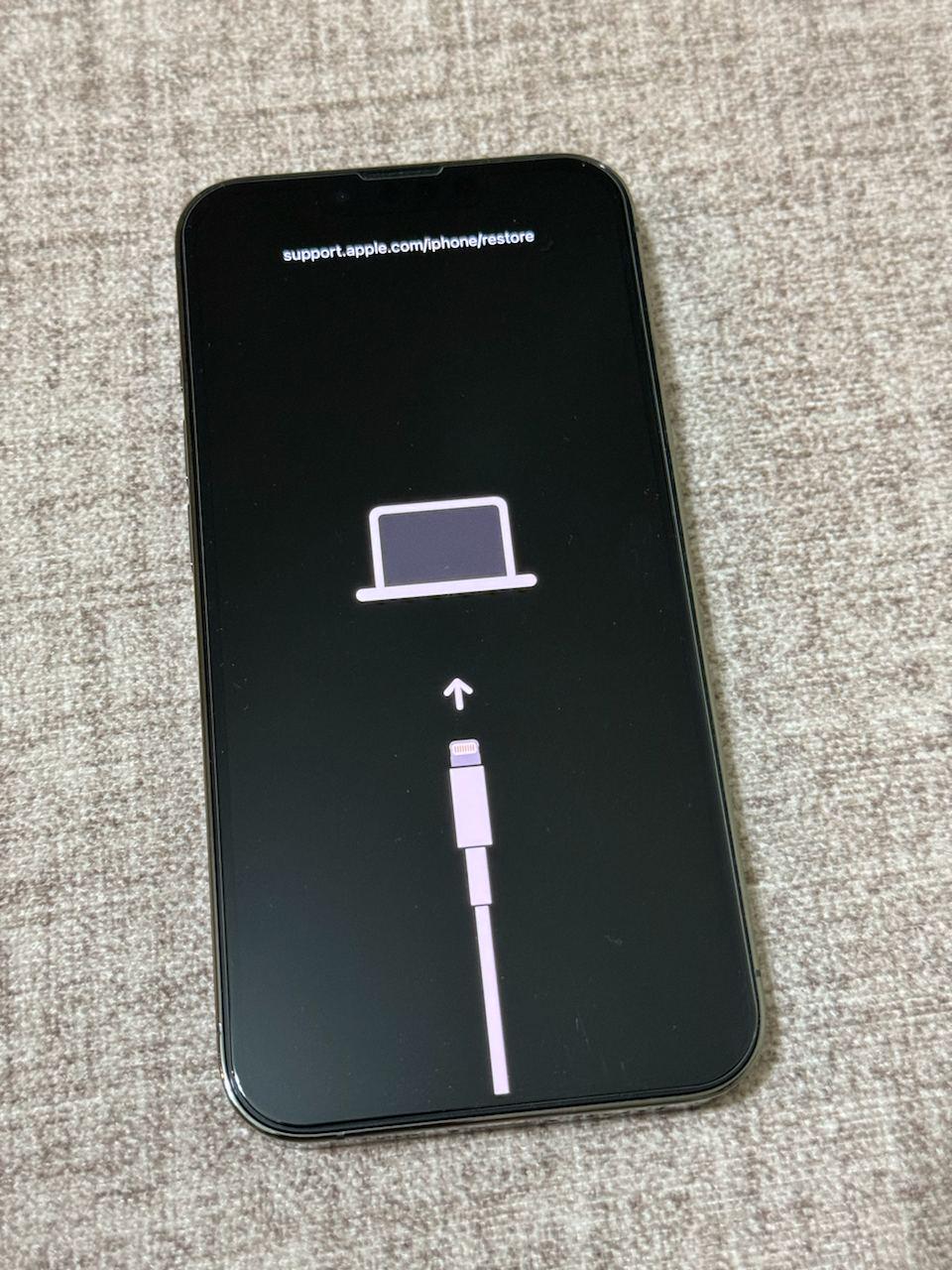 iPhone em modo de recuperação DFU para serviço de software